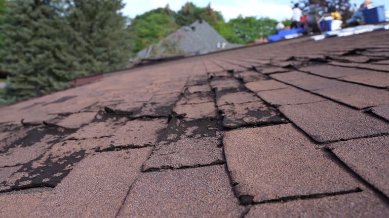 Best Roof Moss and Algae Removal  in Battle Ground, WA